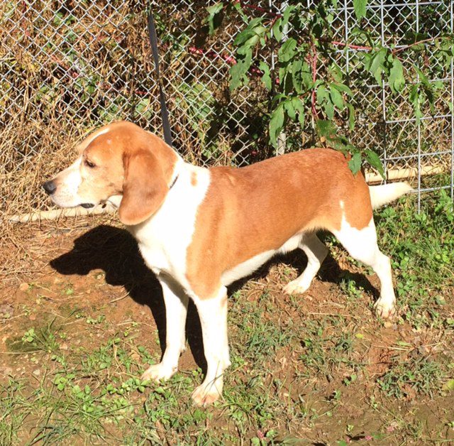 Reiko – Adopted April 2020 Reiko – Adopted April 2020
