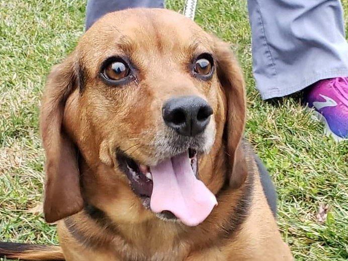 Linus (Special Needs) – Adopted November 2020 Linus (Special Needs) – Adopted November 2020