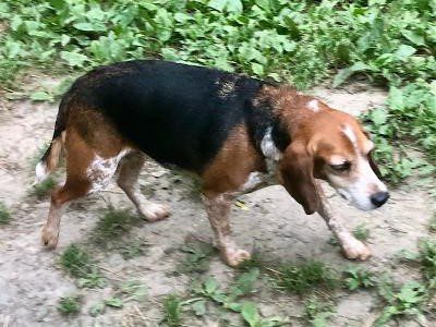 Rowesa – Adopted June 2021 Rowesa – Adopted June 2021