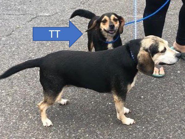 TT – Adopted September 2021 TT – Adopted September 2021
