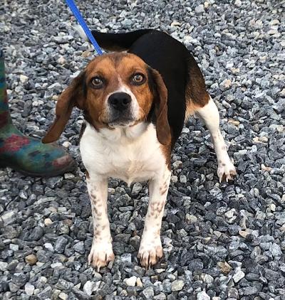 Aleta – Adopted March 2022 Aleta – Adopted March 2022