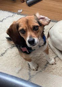 Trinity – Adopted September 2022 Trinity – Adopted September 2022