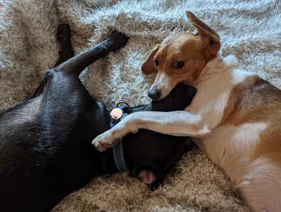 ...