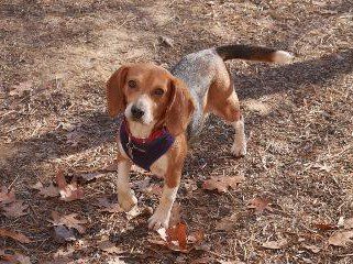 Adeline – Adopted January 2023 Adeline – Adopted January 2023