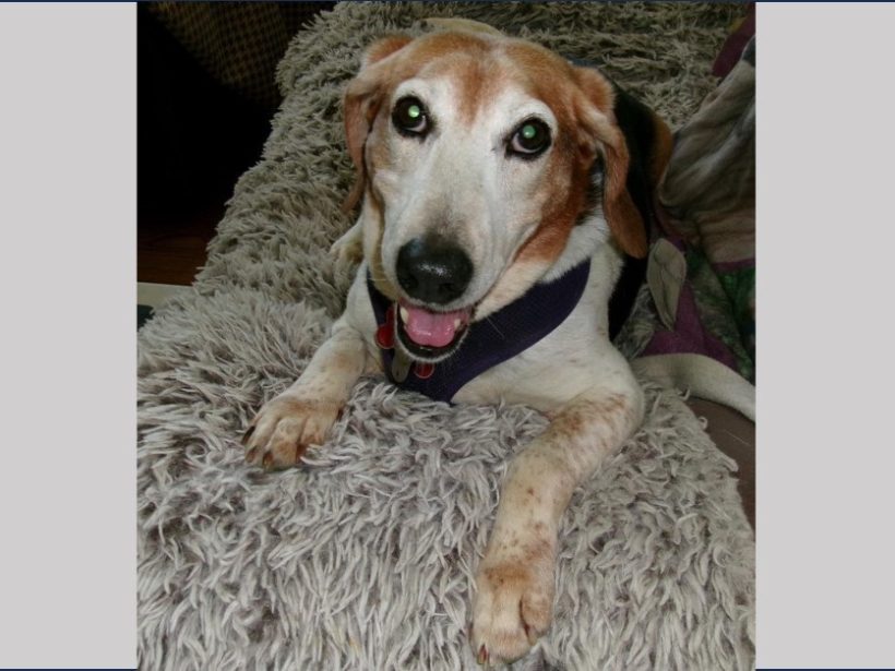 Caleb – Adopted June 2024