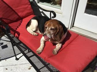 Tubbs – Adopted June 2023 Tubbs – Adopted June 2023