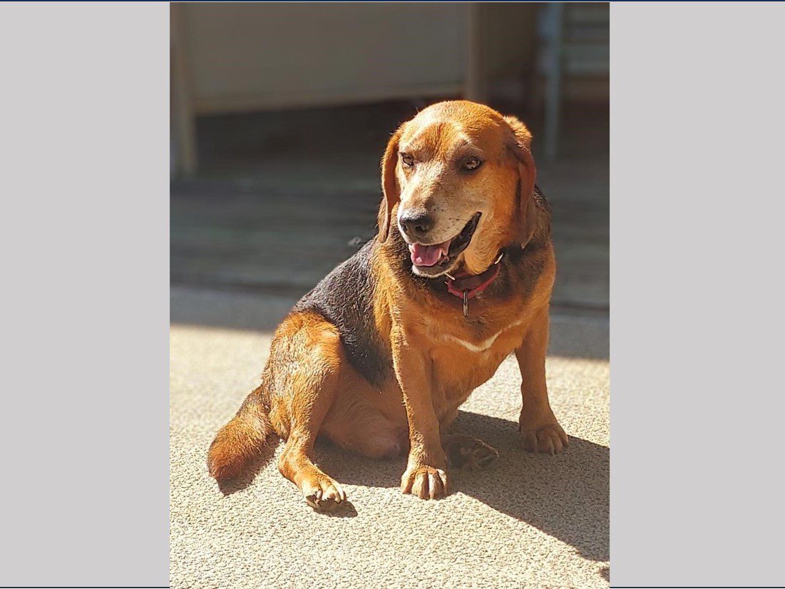 ...