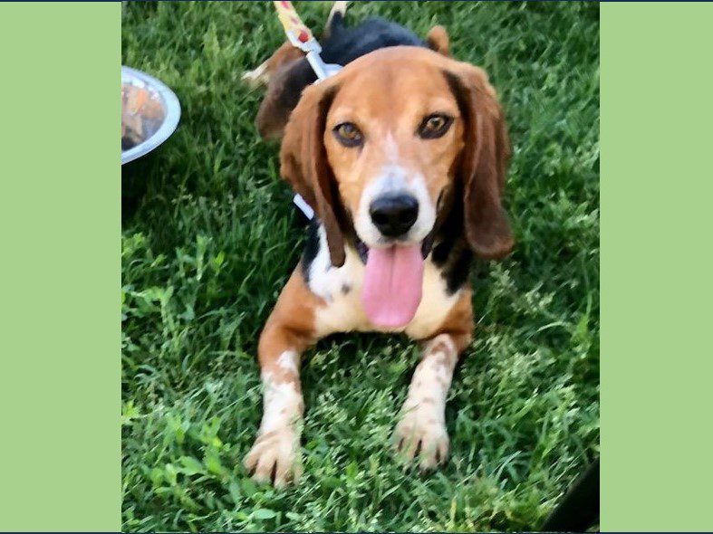 Clark – Adopted June 2025 Clark – Adopted June 2025