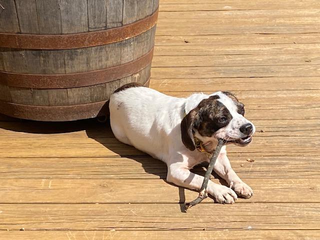 ...