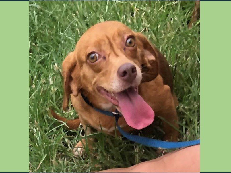 Alyria – Adopted October 2024 Alyria – Adopted October 2024
