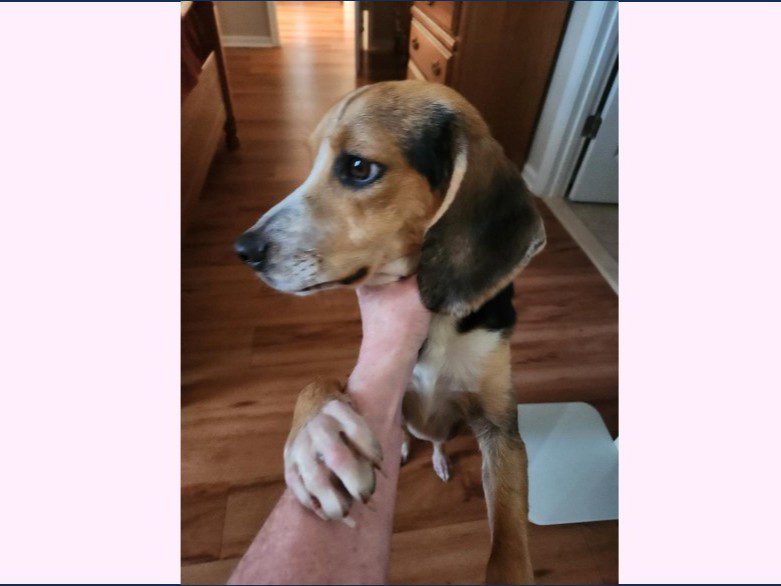 ...